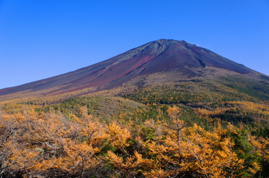 お勧めの紅葉スポット 富士スバルライン 御庭 奥庭 富士山旅行と日常の日記